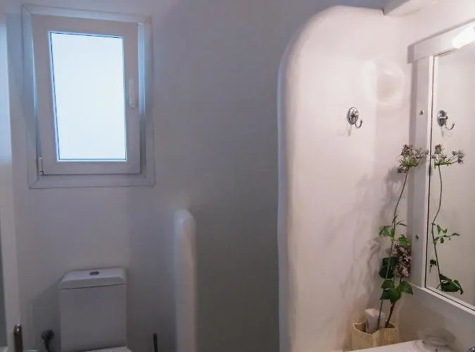 Mv Serenity 阿诺梅拉